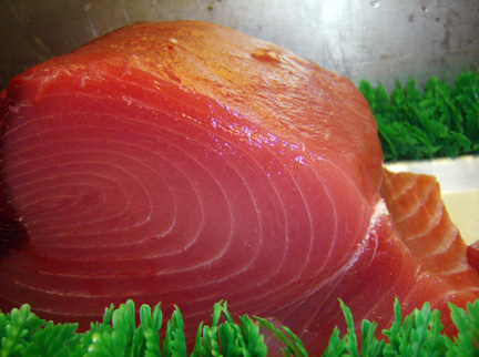 How To Freeze Mashed Tuna